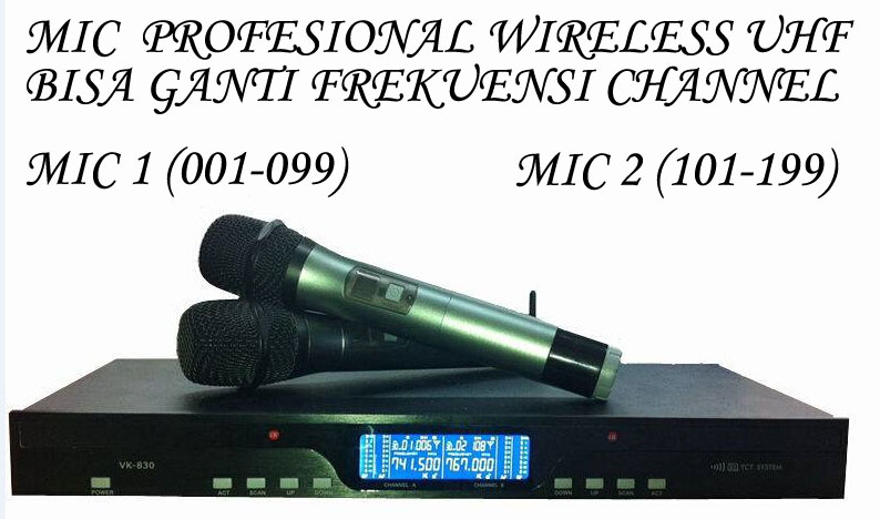 mic profesional wireless